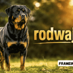 rodwajlery